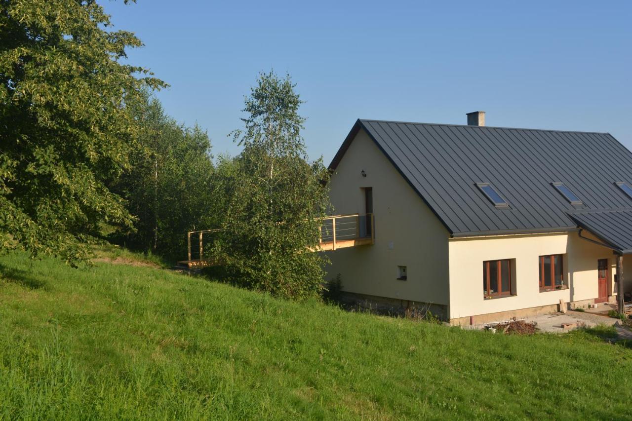 Penzion Kota 509 Janovice  外观 照片